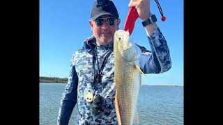 Fall Redfish Catching  Galveston East Bay [upl. by Piegari]