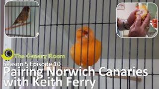 The Canary Room Season 5 Episode 10  Pairing Norwich Canaries with Keith Ferry [upl. by Asilem]