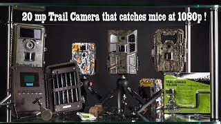 Victure HC600 Trail or Game Camera 20 megapixel stills 1080 p Video Review [upl. by Pokorny926]