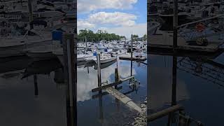 whats up dock tga taylorsgrandadventures walkintosuccess [upl. by Emse]