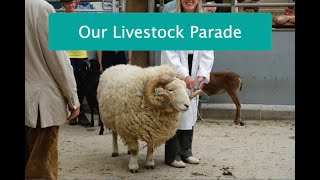 Livestock Parade at Woolfest Online 2021 [upl. by Rondi]