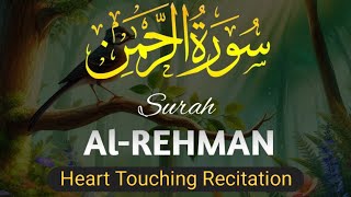 Surah AlRahman  Surah Rahman ki tilawat  Beautiful recitation سورۃ الرحمن 55  सूरह रहमान [upl. by Botzow795]