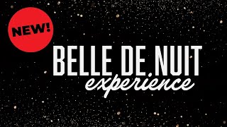 NEW BELLE DE NUIT Experience  Aaron Terence Hughes [upl. by Kornher598]