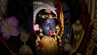 Shyama Maa Ki Amar Kalo🌺🌺Shyama Sangeet🌺 [upl. by Cusick]