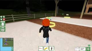 How to make an quotEventquot in Roblox in Backpacking [upl. by Davin]