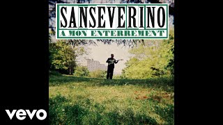 Sanseverino  À mon enterrement Audio [upl. by Lincoln]