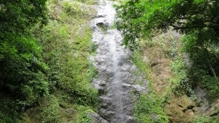 Fairy Waterfall of Danum Valley [upl. by Market]