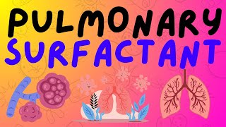 The Respiratory System Pulmonary Surfactant [upl. by Seira254]