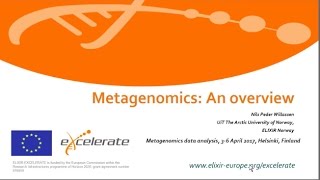 Metagenomics analysis – an overview Nils Peder Willassen [upl. by Ilarin184]