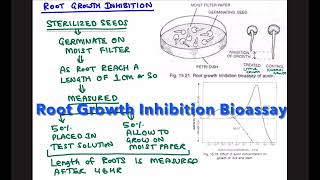 ROOT GROWTH INHIBITION BIOASSAY FOR AUXIN [upl. by Oramlub]