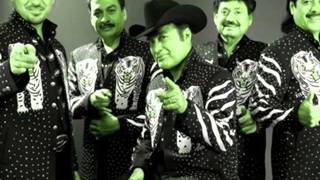 Tigres Del Norte  mix romanticas [upl. by Halsy]