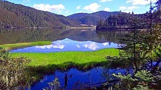 普達措國家公園屬都湖林蔭下漫步 Potatso National Park Yunnan China [upl. by Selimah695]