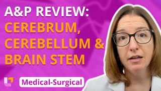 AampP Review Cerebrum Cerebellum amp Brain Stem  MedicalSurgical  Nervous System  LevelUpRN [upl. by Dragelin203]