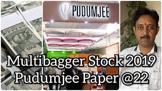 मल्टीबैगर स्टोक 2019 के लिये Multibagger Stock for 2019 Pudumjee Paper Products Limited  2215 [upl. by Ueihtam588]