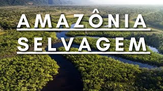 Amazônia Selvagem  Berço da vida  Documentário dublado HD [upl. by Nenney]