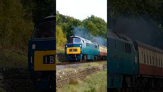 Class 52 D1015 Western Champion opens up past Tenbury Wall diesellocomotives train shorts [upl. by Rains]