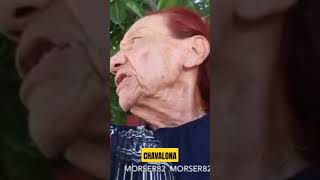 🚨GILBERTÒNA quotCHAVALONAquot🤣gilbertona lafamosagilbertona chavalona morser82 humor culiacan [upl. by Acinemod]