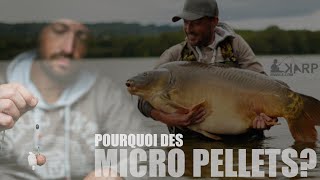 Micro pellets By KarpFrance [upl. by Nanny]