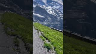 Train among alps jungfrau jungfraubahn kleinescheidegg swissalps july2024 [upl. by Peale]