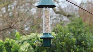 Roamwild PestOff Bird Feeder [upl. by Fesoj]