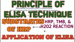 Principle of ELISA technique ll Xgene and proteinX [upl. by Stephania]