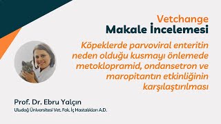 Vetchange Makale İncelemesi  Prof Dr Ebru Yalçın [upl. by Alanna679]