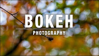 Bokeh Photography – The Easy Way [upl. by Assilla357]