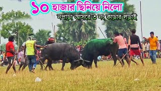 নপাড়া আসরে ৩ নং কাড়ার লড়াই  Napara Kara Larai 2024 manbhumbasi [upl. by Lovmilla]