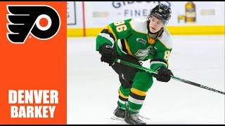 NHL Prospects  Denver Barkey  2324 Highlights [upl. by Norton502]