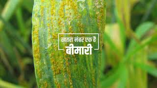 Syngenta Ampect Xtra  AV  Hindi [upl. by Shellans247]