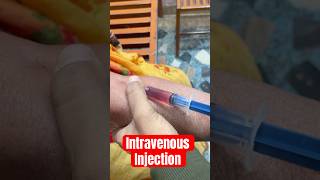 Intravenous injection used  intravenous injection ivinjection cannula SMpharmacy [upl. by Kristi639]