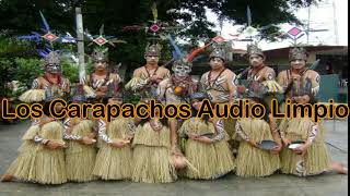 Los Carapachos audio limpio [upl. by Nuawtna]