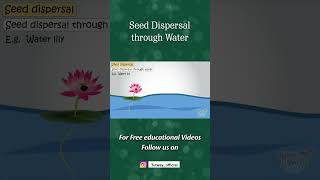 Ways of Seed Dispersal  Seed Dispersal through Water  Plants  Pollination  Science shorts [upl. by Yemane]