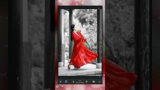 Color Spotlight Snapseed Photo Trick Editing shorts [upl. by Leeban]