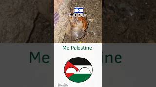 We molang palestina countryballs nowar [upl. by Anihsak]