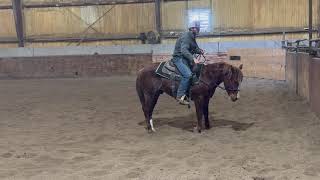 SmoothCat Red Badger  2021 AQHA Gelding [upl. by Deegan]