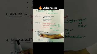 How to Administer🔥Adrenaline Injection Epinephrine Emergency AdrenalineInjection NursingSkills [upl. by Ahaelam]