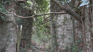 Coalpit Heath Abandoned Railway Adventure [upl. by Anner871]