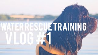 WATER RESCUE TRAINING VLOG 1  MOLLY THE NEWFIE amp CO [upl. by Bartosch]