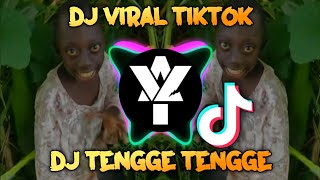 DJ TENGG3 TENGG3 VIRAL TIKTOK YANG KALIAN CARI CARI [upl. by Holmann944]