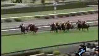 2007 関西ＴＶローズＳ Rose Stakes [upl. by Znerol]