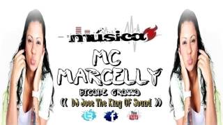 MC Marcelly Bigode Grosso Feat DJ Joee The King OF Sound Remix 2013 [upl. by Muraida]