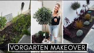 Vorgarten MakeOver  Mini Garten anlegen mit Olivenbaum Lavendel und Gräsern [upl. by Nikaniki]