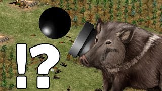 AoE2  Cannon Boar Nothing [upl. by Mcferren]