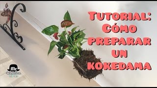 Tutorial  cómo preparar un kokedama fácil y decorativo [upl. by Eirak]