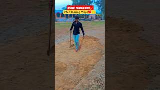 Cricket Pitch Creation Made Simple 🏏 DIY Guide CricketTipsquot shorts ytshorts [upl. by Enahpad]