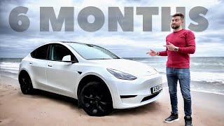 Tesla Model Y Review 6 Months Later  A BIG REGRET [upl. by Jamison596]