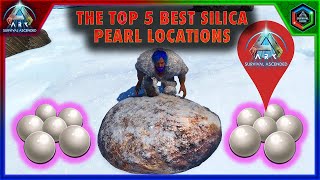 The Top 5 Best Silica Pearl Locations on Ark Survival Ascended [upl. by Gnouhk734]