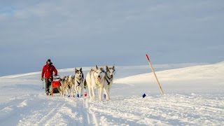 Finnmarksløpet 1000 km 2016  Full [upl. by Nunnery689]