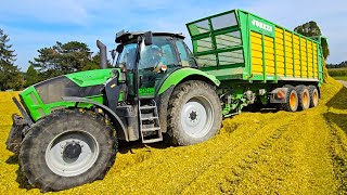 Im XXL Maissilo geht mal wieder der Punk ab mit 2 x VOLVO Radlader amp John Deere 7950 i  12 Reiher [upl. by Crudden933]